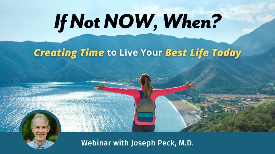 If Not Now, When? webinar