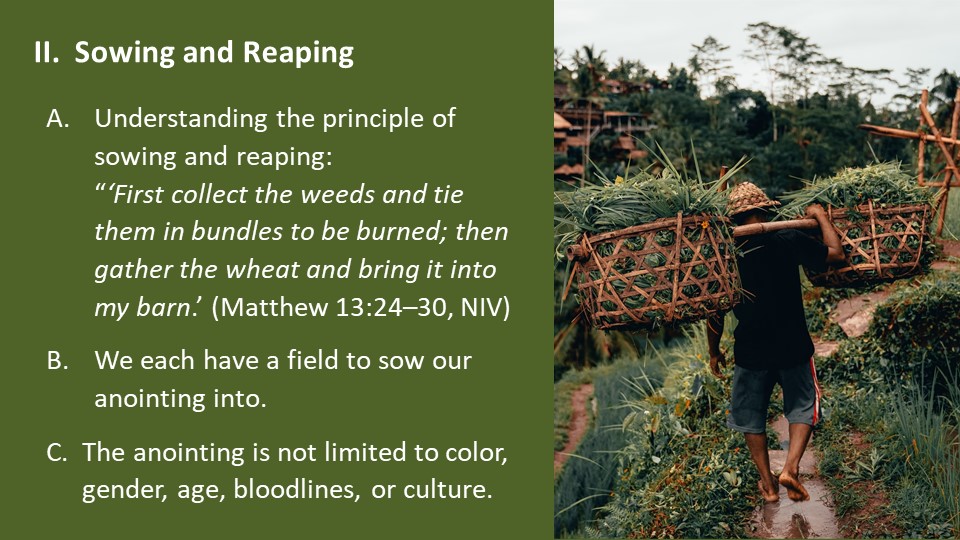 Sowing and Reaping