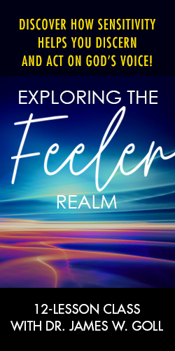 Exploring the Feeler Real