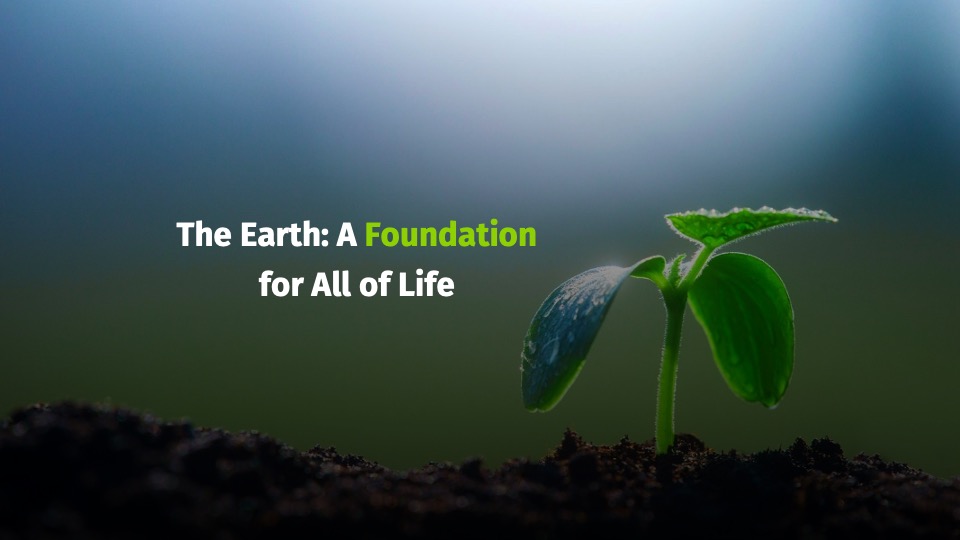 The foundation for life