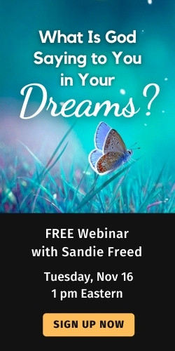 Dream Webinar